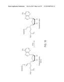 Compositions and Methods for the Inhibition of Methyltransferases diagram and image