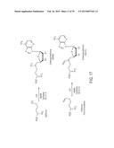 Compositions and Methods for the Inhibition of Methyltransferases diagram and image