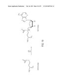 Compositions and Methods for the Inhibition of Methyltransferases diagram and image