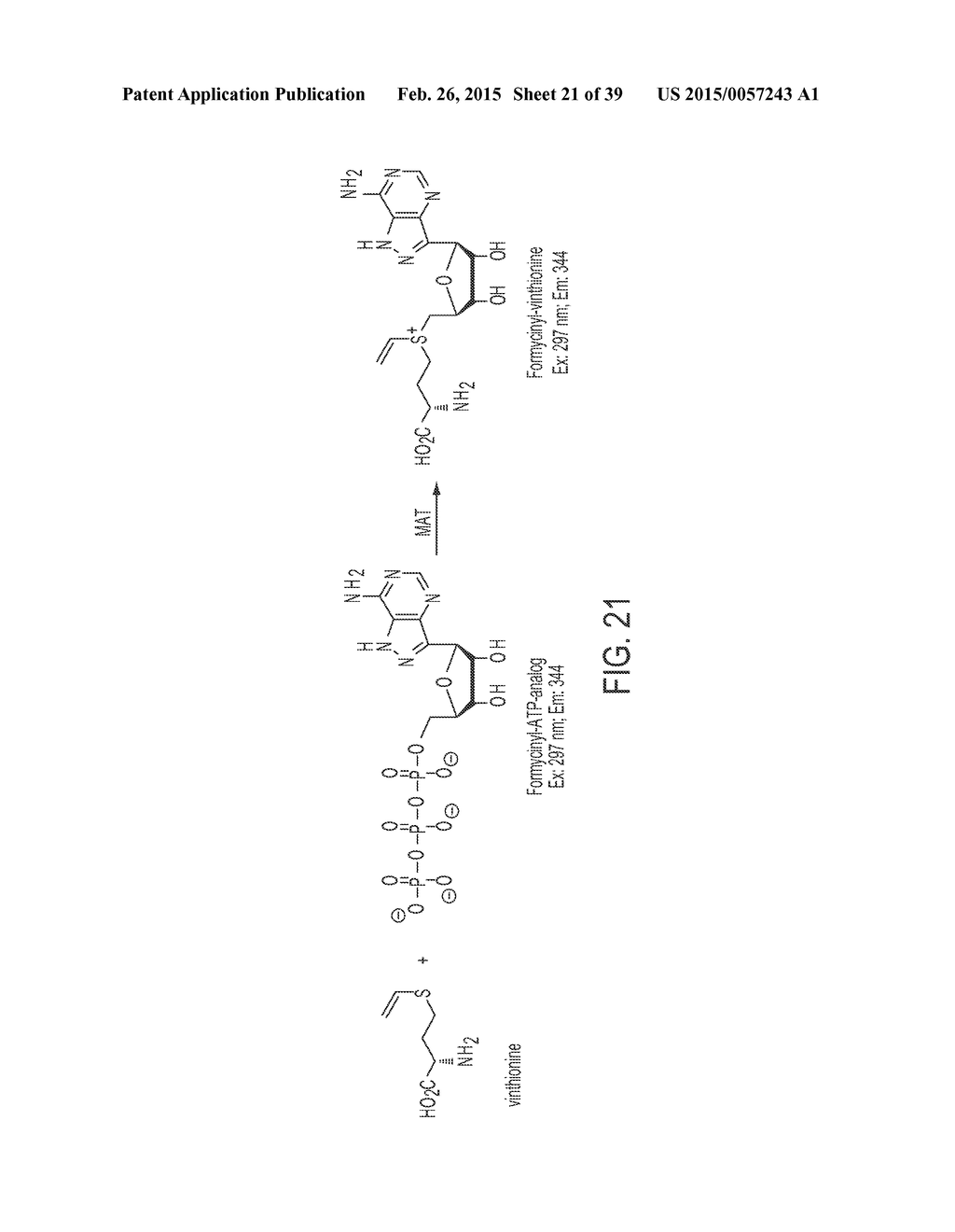 Compositions and Methods for the Inhibition of Methyltransferases - diagram, schematic, and image 22