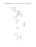 Compositions and Methods for the Inhibition of Methyltransferases diagram and image