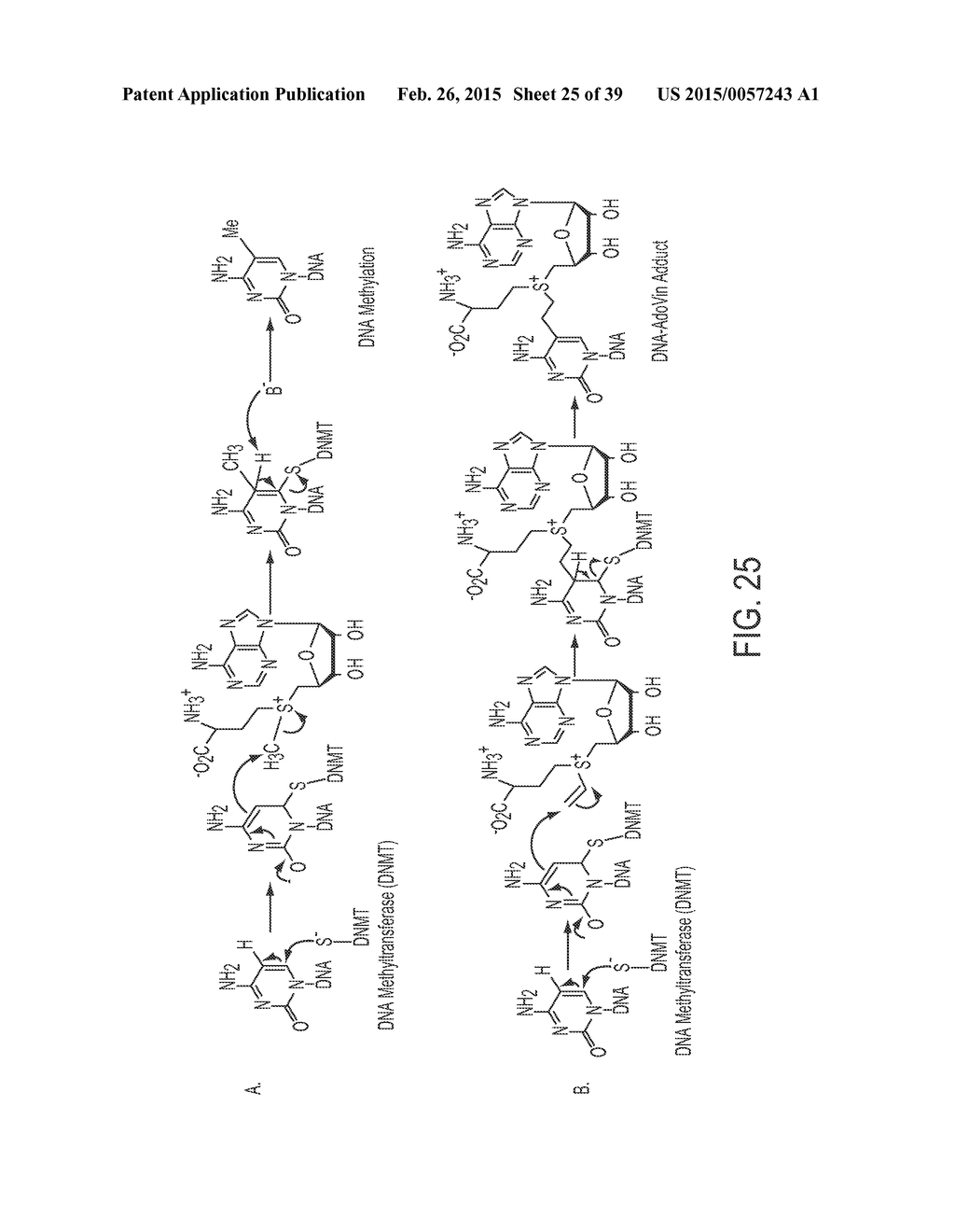 Compositions and Methods for the Inhibition of Methyltransferases - diagram, schematic, and image 26