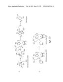 Compositions and Methods for the Inhibition of Methyltransferases diagram and image