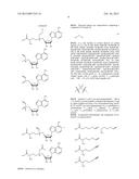 Compositions and Methods for the Inhibition of Methyltransferases diagram and image