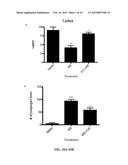 BIVALENT AMPA RECEPTOR POSITIVE ALLOSTERIC MODULATORS diagram and image