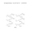 BIVALENT AMPA RECEPTOR POSITIVE ALLOSTERIC MODULATORS diagram and image