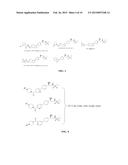 BIVALENT AMPA RECEPTOR POSITIVE ALLOSTERIC MODULATORS diagram and image