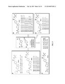 BIVALENT AMPA RECEPTOR POSITIVE ALLOSTERIC MODULATORS diagram and image