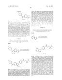 BIVALENT AMPA RECEPTOR POSITIVE ALLOSTERIC MODULATORS diagram and image