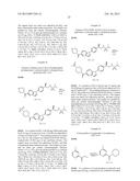 BIVALENT AMPA RECEPTOR POSITIVE ALLOSTERIC MODULATORS diagram and image