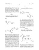 BIVALENT AMPA RECEPTOR POSITIVE ALLOSTERIC MODULATORS diagram and image