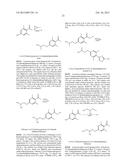 MODULATORS OF HEC1 ACTIVITY AND METHODS THEREFOR diagram and image