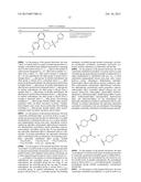 SUBSTITUTED PIPERIDINES AS SODIUM CHANNEL BLOCKERS diagram and image