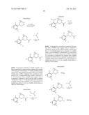 SUBSTITUTED PIPERIDINES AS SODIUM CHANNEL BLOCKERS diagram and image