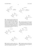 SUBSTITUTED PIPERIDINES AS SODIUM CHANNEL BLOCKERS diagram and image