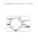 TRANSTHYRETIN LIGANDS CAPABLE OF INHIBITING RETINOL-DEPENDENT RBP4-TTR     INTERACTION FOR TREATMENT OF AGE-RELATED MACULAR DEGENERATION, STARGARDT     DISEASE, AND OTHER RETINAL DISEASE CHARACTERIZED BY EXCESSIVE LIPOFUSCIN     ACCUMULATION diagram and image