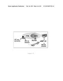 TRANSTHYRETIN LIGANDS CAPABLE OF INHIBITING RETINOL-DEPENDENT RBP4-TTR     INTERACTION FOR TREATMENT OF AGE-RELATED MACULAR DEGENERATION, STARGARDT     DISEASE, AND OTHER RETINAL DISEASE CHARACTERIZED BY EXCESSIVE LIPOFUSCIN     ACCUMULATION diagram and image