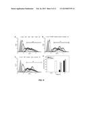 HIGH MOLECULAR WEIGHT ARGININE-GRAFTED BIOREDUCIBLE POLYMERS diagram and image