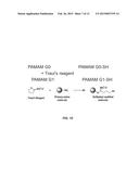 HIGH MOLECULAR WEIGHT ARGININE-GRAFTED BIOREDUCIBLE POLYMERS diagram and image