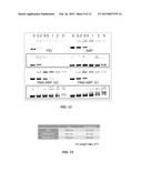 HIGH MOLECULAR WEIGHT ARGININE-GRAFTED BIOREDUCIBLE POLYMERS diagram and image