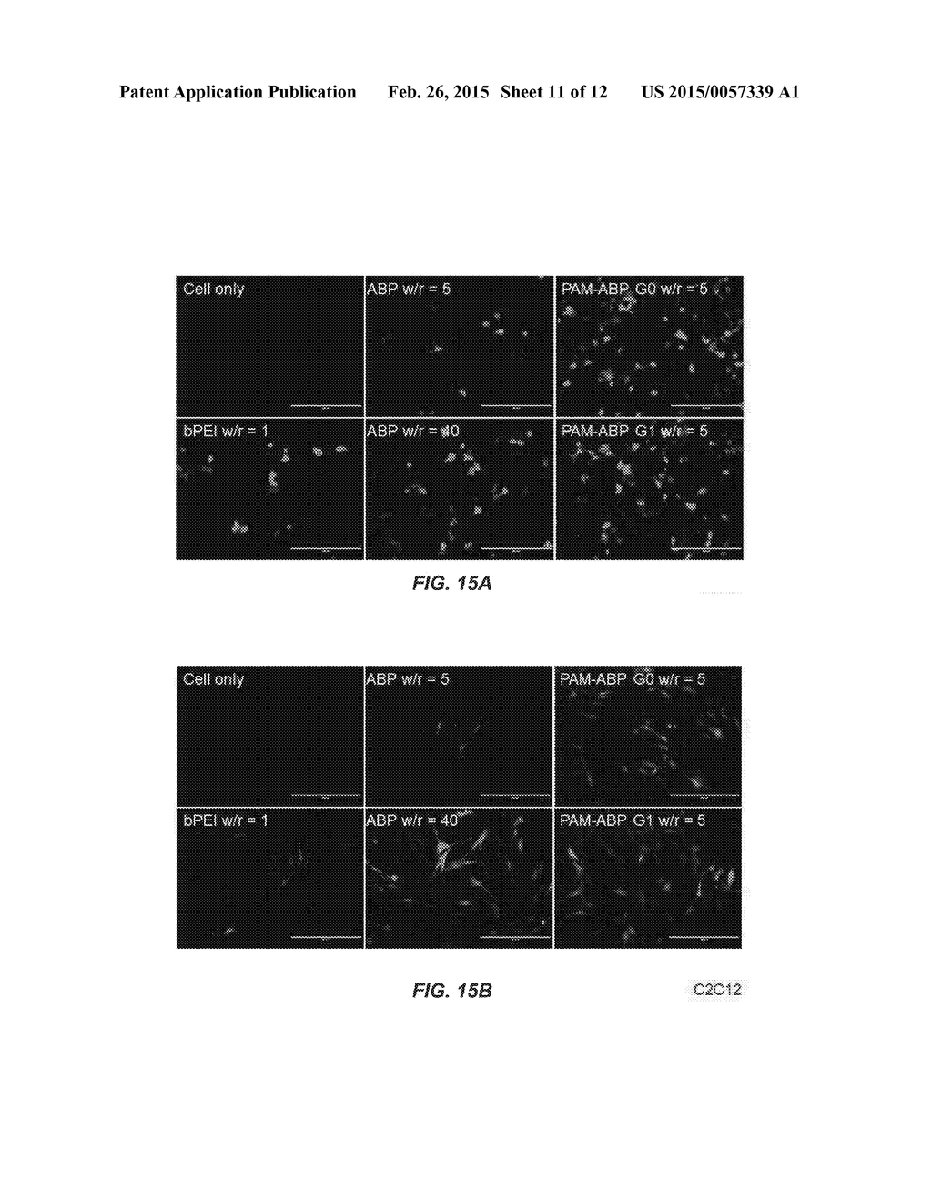 HIGH MOLECULAR WEIGHT ARGININE-GRAFTED BIOREDUCIBLE POLYMERS - diagram, schematic, and image 12