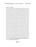 NUCLEIC ACID COMPRISING OR CODING FOR A HISTONE STEM-LOOP AND A POLY(A)     SEQUENCE OR A POLYADENYLATION SIGNAL FOR INCREASING THE EXPRESSION OF AN     ENCODED THERAPEUTIC PROTEIN diagram and image