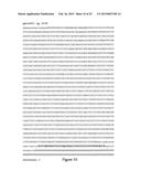 NUCLEIC ACID COMPRISING OR CODING FOR A HISTONE STEM-LOOP AND A POLY(A)     SEQUENCE OR A POLYADENYLATION SIGNAL FOR INCREASING THE EXPRESSION OF AN     ENCODED THERAPEUTIC PROTEIN diagram and image