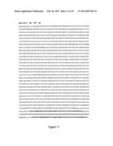 NUCLEIC ACID COMPRISING OR CODING FOR A HISTONE STEM-LOOP AND A POLY(A)     SEQUENCE OR A POLYADENYLATION SIGNAL FOR INCREASING THE EXPRESSION OF AN     ENCODED THERAPEUTIC PROTEIN diagram and image