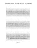 NUCLEIC ACID COMPRISING OR CODING FOR A HISTONE STEM-LOOP AND A POLY(A)     SEQUENCE OR A POLYADENYLATION SIGNAL FOR INCREASING THE EXPRESSION OF AN     ENCODED THERAPEUTIC PROTEIN diagram and image