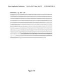 NUCLEIC ACID COMPRISING OR CODING FOR A HISTONE STEM-LOOP AND A POLY(A)     SEQUENCE OR A POLYADENYLATION SIGNAL FOR INCREASING THE EXPRESSION OF AN     ENCODED THERAPEUTIC PROTEIN diagram and image