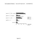 NUCLEIC ACID COMPRISING OR CODING FOR A HISTONE STEM-LOOP AND A POLY(A)     SEQUENCE OR A POLYADENYLATION SIGNAL FOR INCREASING THE EXPRESSION OF AN     ENCODED THERAPEUTIC PROTEIN diagram and image