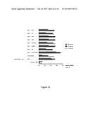 NUCLEIC ACID COMPRISING OR CODING FOR A HISTONE STEM-LOOP AND A POLY(A)     SEQUENCE OR A POLYADENYLATION SIGNAL FOR INCREASING THE EXPRESSION OF AN     ENCODED THERAPEUTIC PROTEIN diagram and image
