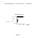 NUCLEIC ACID COMPRISING OR CODING FOR A HISTONE STEM-LOOP AND A POLY(A)     SEQUENCE OR A POLYADENYLATION SIGNAL FOR INCREASING THE EXPRESSION OF AN     ENCODED THERAPEUTIC PROTEIN diagram and image