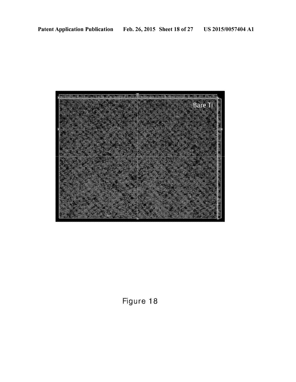 Long-Term Zero-Fouling Polymer Surfaces - diagram, schematic, and image 19