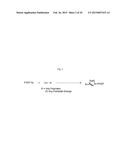 FREE RADICAL AND CONTROLLED RADICAL POLYMERIZATION PROCESSES USING AZIDE     RADICAL INITIATORS diagram and image