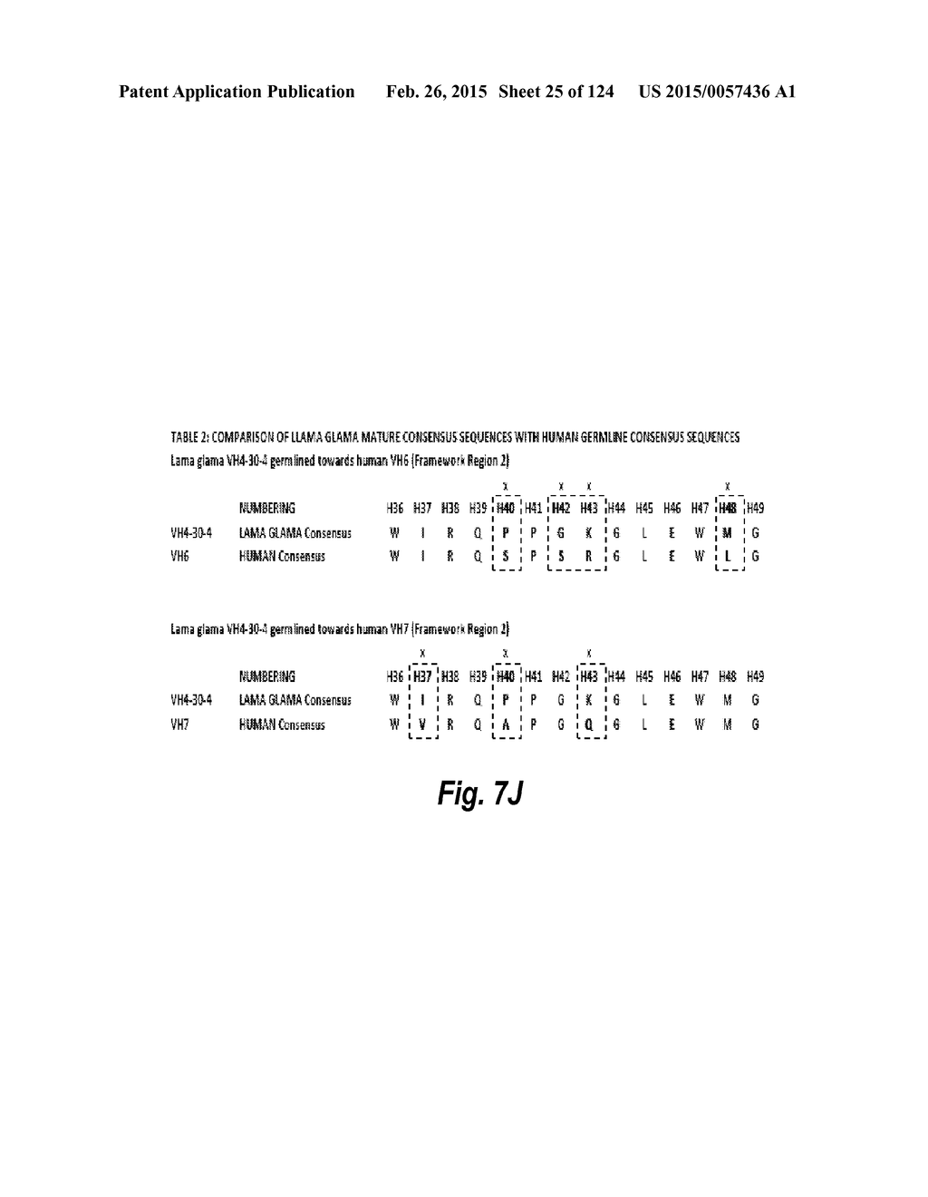 HUMANIZED ANTIBODIES - diagram, schematic, and image 26