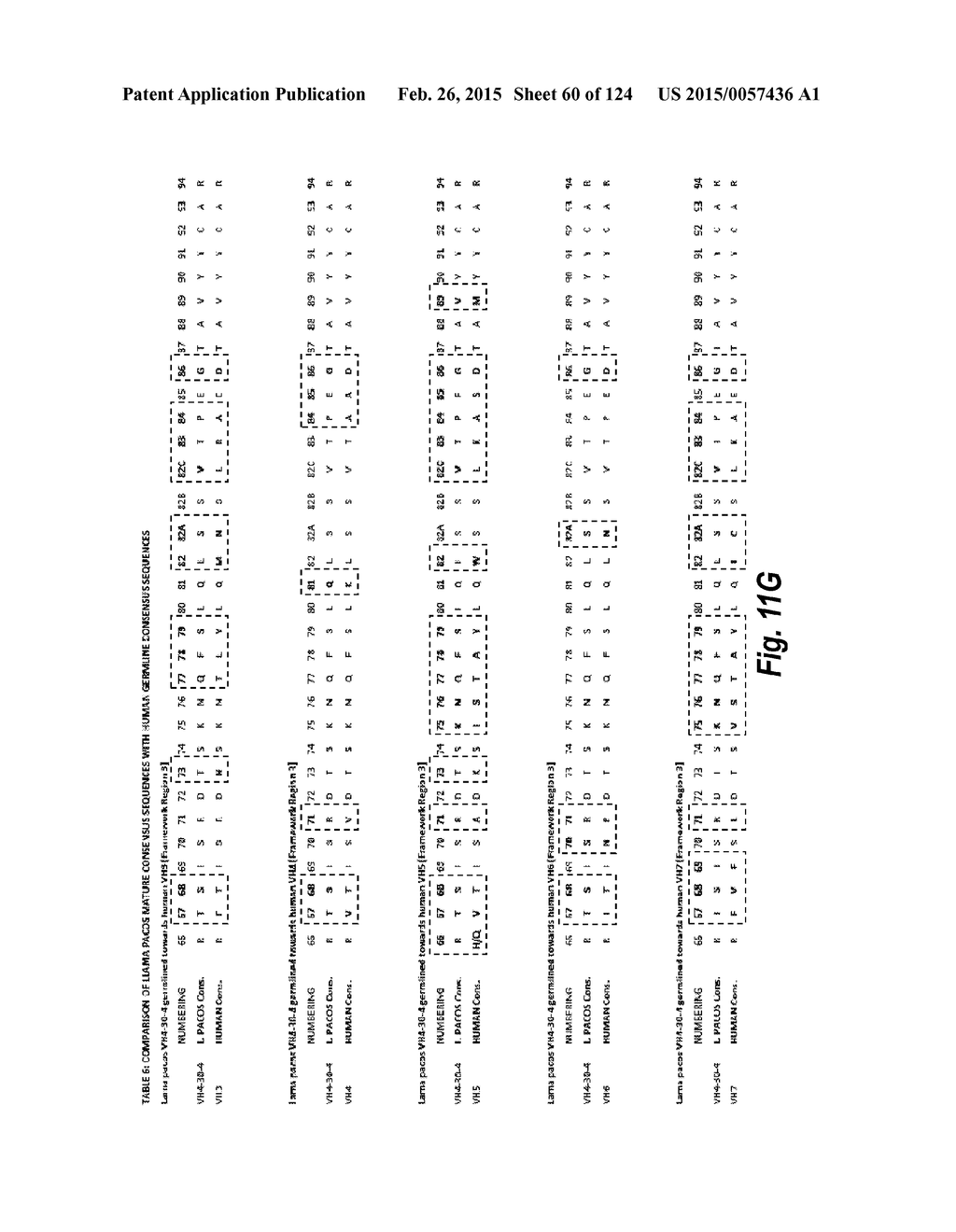 HUMANIZED ANTIBODIES - diagram, schematic, and image 61