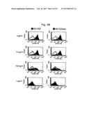 ANTI-CD40 ANTIBODY MUTANTS diagram and image