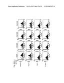 ANTI-CD40 ANTIBODY MUTANTS diagram and image