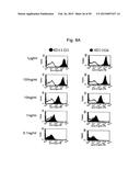 ANTI-CD40 ANTIBODY MUTANTS diagram and image