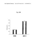 ANTI-CD40 ANTIBODY MUTANTS diagram and image