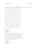 ANTI-CD40 ANTIBODY MUTANTS diagram and image