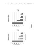 CONTROL OF GROWTH-INDUCTION-PRODUCTION PHASES diagram and image