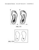 APPARATUS FOR MEASURING TEMPERATURE DISTRIBUTION ACROSS THE SOLE OF THE     FOOT diagram and image