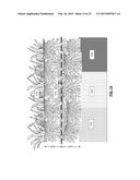 IRRIGATION PROTOCOLS WHEN CONNECTION TO A NETWORK IS LOST FOR AN EXTENDED     PERIOD diagram and image