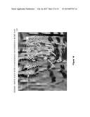 MICROSEISMIC EVENT LOCALIZATION USING BOTH DIRECT-PATH AND HEAD-WAVE     ARRIVALS diagram and image