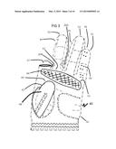 Golf Gloves diagram and image