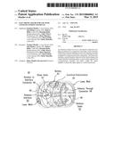 ELECTRONIC FRAME FOR USE WITH COUPLED CONDUIT SEGMENTS diagram and image