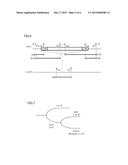 METHOD FOR CLASSIFYING AND DISCRIMINATING JATROPHA LINES USING     RETROTRANSPOSON AS A MARKER diagram and image