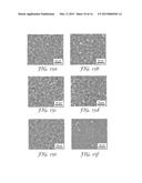 Thin Film Composite Membrane Structures diagram and image